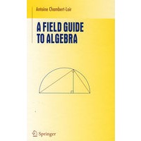 A field guide to algebra代数指南