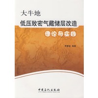 大牛地低压致密气藏储层改造理论与实践