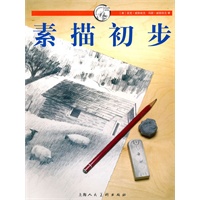 素描初步---西方经典美术技法译丛--W