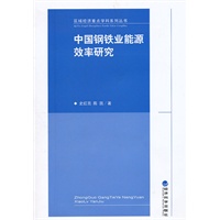 中国钢铁业能源效率研究