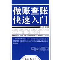 做帐查帐快速入门