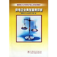 供电企业典型案例评析
