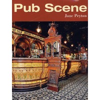公共景观 Pub Scene