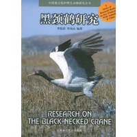 黑颈鹤研究——中国重点保护野生动物研究丛书