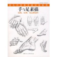 手与足素描