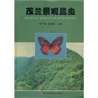 茂兰景观昆虫