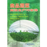商品蔬菜高效生产巧安排