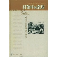 村治中的宗族：对九个村的调查和研究