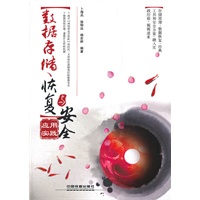 数据存储、恢复与安全应用实践