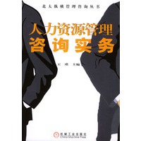 人力资源管理咨询实务