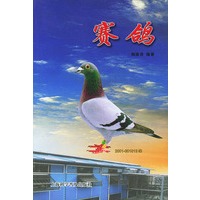 赛鸽