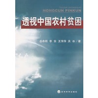 透视中国农村贫困