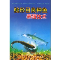 鲶形目良种鱼养殖技术