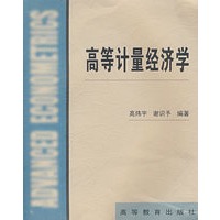 高等计量经济学