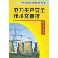 电力生产安全技术及管理——电气设备安装运行维修实用技术丛书