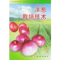 洋葱栽培技术