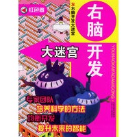 右脑开发大迷宫·红色卷/左右脑开发大迷宫