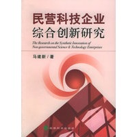 民营科技企业综合创新研究