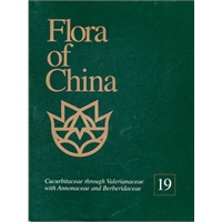 Flora of China（Volume 19）