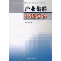 产业集群升级研究