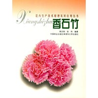 香石竹