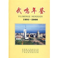 武鸣年鉴（1991-2000）