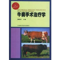 牛病手术治疗学