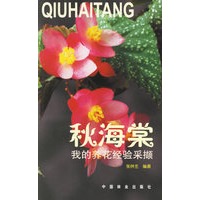 我的养花经验采撷 秋海棠