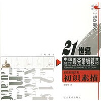 素描初级教程：初识素描——21世纪中国美术基础教育规范系列教材