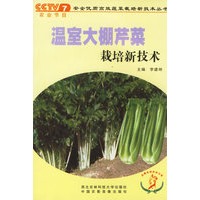 温室大棚芹菜栽培新技术