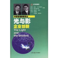 光与影：企业创新