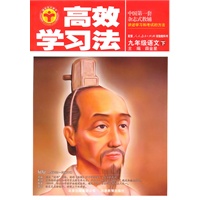 高效学习法_九年级语文下(人教实验版)/（2010年9月印刷）