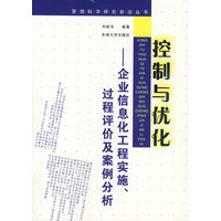 控制与优化:企业信息化工程实施、过程评价及案例分析