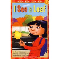 我看到了一片叶子 I SEE A LEAF (S)