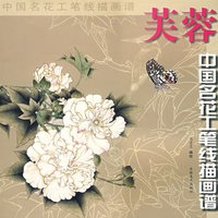 中国名花工笔线描---芙蓉