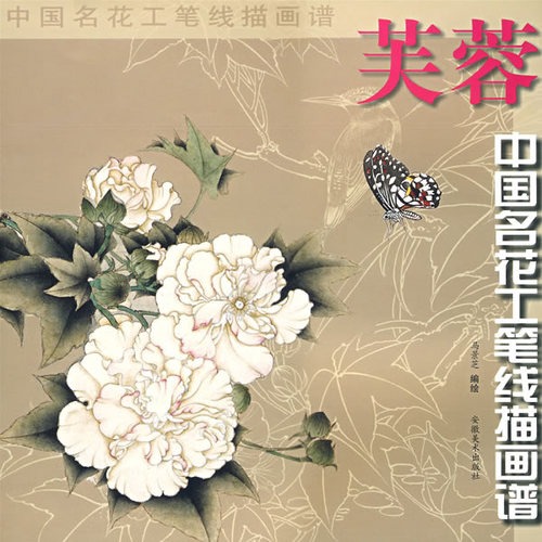 中国名花工笔线描---芙蓉