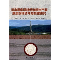 川中须家河组低渗砂岩气藏渗流规律及开发机理研究