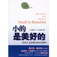小的是美好的:一本把人当回事的经济学著作