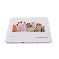 ��������Ӫ���ִ� DVD HY-DV880