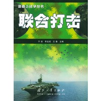 联合打击——新概念战争丛书