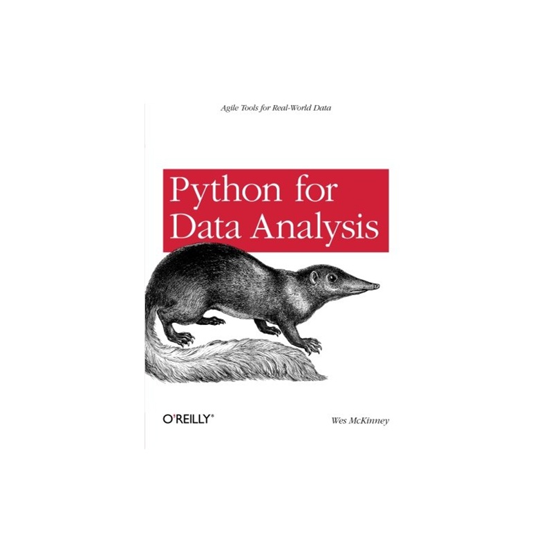 《Python for Data Analysis: Data Wrangling wit