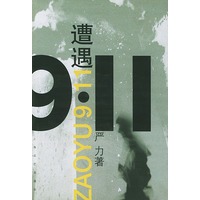 遭遇9·11
