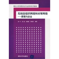 无线自组织网络和对等网络——原理与安全