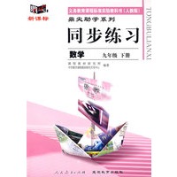 同步练习：数学 九年级下（人教版）