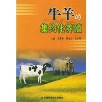 牛羊的集约化养殖