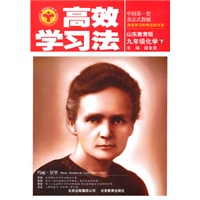 高效学习法_九年级化学下(山东教育版)