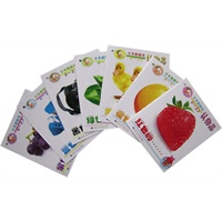 小手翻翻书：认物品（0-3岁）（全七册）