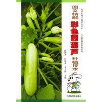 图文精解彩色西葫芦种植技术——建设农村小康社会书系·无公害蔬菜种植系列