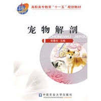 宠物解剖