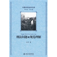 刑法问题的规范理解